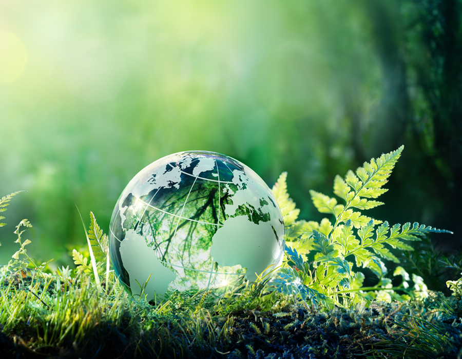 Glassy globe with a world map resting on moss and grass in a lush green forest, symbolizing nature conservation, environmental sustainability and zero emission mobility.